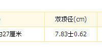 "孕期40周-怀孕30周"