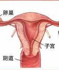 "月经是什么?你仍然不知道好好对待月经有多重要!"