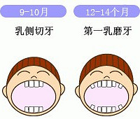 "宝宝长牙顺序 萌萌哒小牙真可爱"