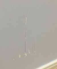 �·���סһ���� ���ⲻ��