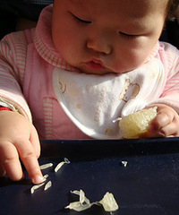 宝宝能吃柚子吗 宝宝饮食要慎重