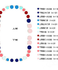 "宝贝的牙齿开始跳舞了,你造怎么办吗?(上)"
