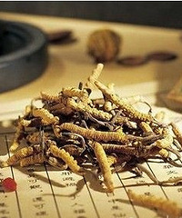 "偏方治大病?专家告诉你这些偏方靠不靠谱"