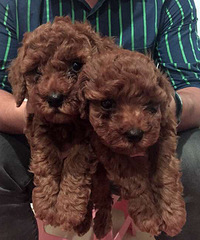 ����һЩ�ˣ�����ǵܵ��ұ������ã�ϲ����