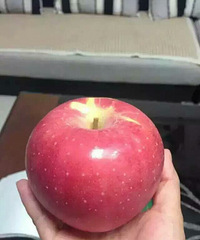 ʵ�ݵ�����ũ��ĸ�ʿˮ�� ��Ҫ���� ΢��