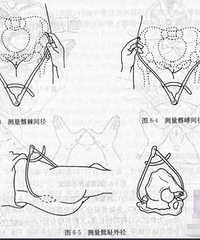 "骨盆测量的方法,原来这么容易"