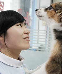 杭州最好宠物医院