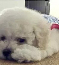 "备战二胎 LA LUAN十一月特惠 盆底肌修复 尊享正价5折特惠"