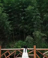 私汤、地暖、壁炉,就在莫干山这些最有格调的隐逸酒店逃离雨季