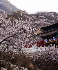 这些景区内住宿,风景美逼格高,还只要三十块!