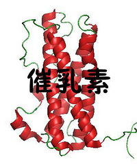 "催乳素过高怎么办?这些方面要注意"