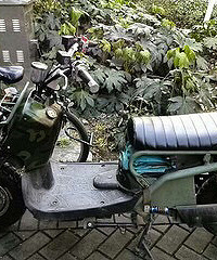 本人宝马:祖玛经典款,60v20a,可以