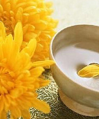 孕妇能喝菊花茶吗?准妈妈们来看看