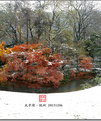 【12月の周末去哪儿】晚枫·初雪·太子湾