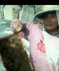 自己家养的蜂蜜,老妈快递较多给我,现转几