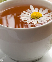 菊花茶,今天你喝茶了吗?