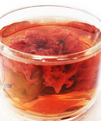"康乃馨茶,孕妇禁用"
