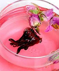 洛神花茶,怀孕妈妈忌用