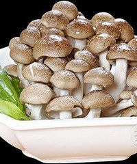 "孕妇能吃蟹味菇吗?对身体怎么样"