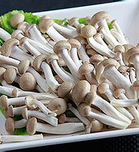 哺乳期能吃蟹味菇吗?