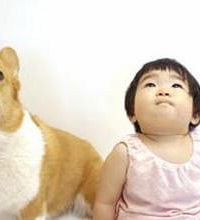 "孕妇被狗咬了怎么办,可以打狂犬疫苗吗?"