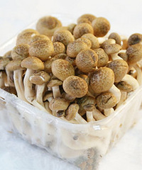 哺乳期能吃蟹味菇吗?妈妈可以放心吃