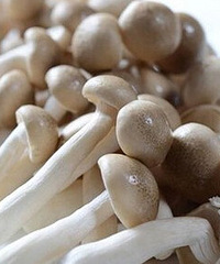 "吃蟹味菇的注意事项,这些妈妈们可要看看了"