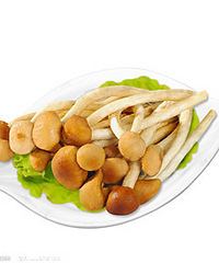 孕妇能吃茶树菇吗?