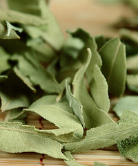 罗布麻茶,原来有这么多功效