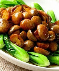 如何挑选草菇,这可是个学问哦