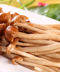 宝宝能吃茶树菇吗?对宝宝的身体有什么影响?