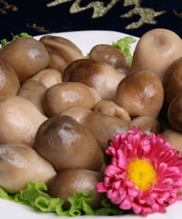 宝宝能吃草菇吗?草菇的功效是什么?
