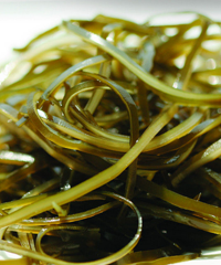 孕妇能吃海带吗?注意什么?食用方法?