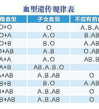 "血型遗传规律表 配对全面大整理"