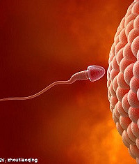 "精子活力竟然还有等级?精子活力低是什么原因?"