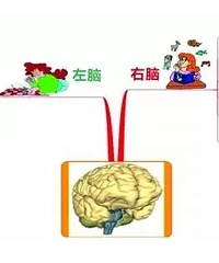 "宝宝动不动就哭、总发脾气、专注力不够?试试这些办法"