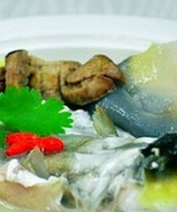 "河豚鱼的价格,河豚鱼多少钱一斤"