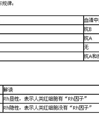 "血型检查参考范围 了解报告单数据"