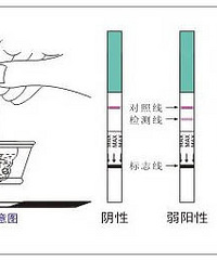 早孕试纸最早什么时候用?太早是没有用的哦