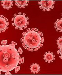 HIV抗体检测为带菌者 有哪些应对措施?