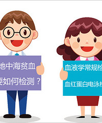 地中海贫血筛查方法是?诊断要点有哪些?