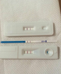 "热乎乎的喜棒,广寒宫体质,小卵泡排卵,成功好孕,大家快接住!