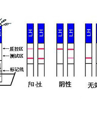 早孕试纸最早什么时候用,结果比较准确?