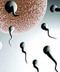 "五成“二胎爸爸”精子质量不达标 如何提高"