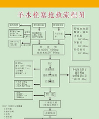 "羊水栓塞抢救流程图?抢救第一线!"