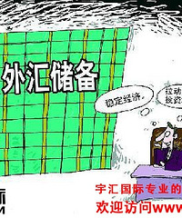 外汇储备是什么_宇汇国际_正规外汇公司_FCA认证
