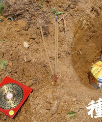 "种生基 风水大师无量子大师谈种生基风水"