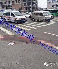 "超血腥车祸,人被碾成一地肉泥\n\n2016"