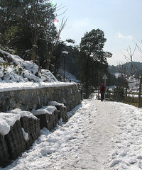 徒步西溪沿山慢性道二期观赏雪景