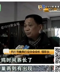 "杀了上万只鸡也没见过 母鸡肚里三“鸡宝”?"